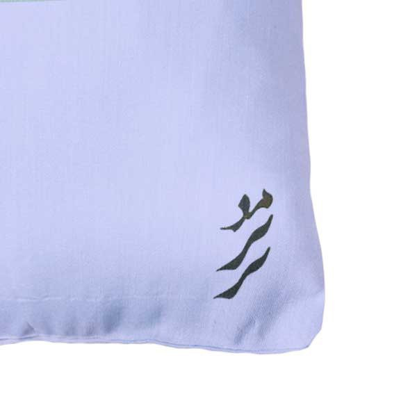 رو بالشی مد برتر مدل فانتزی طرح اسم علیرضا کدm4