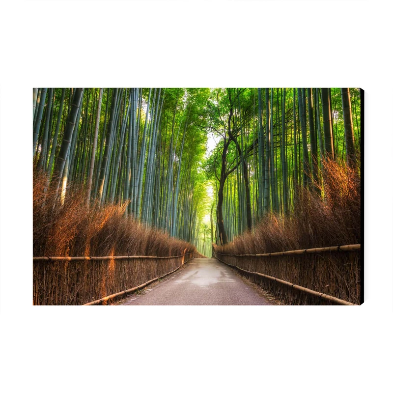 تابلو شاسی عرش طرح گردشگری ژاپن مدل جنگل بامبو آراشیاما کد As6135