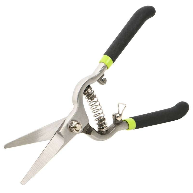 قیچی میوه چینی دلی مدل DL580123