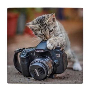 نقد و بررسی کاشی طرح دوربین عکاسی و بچه گربه کد wk3922 توسط خریداران