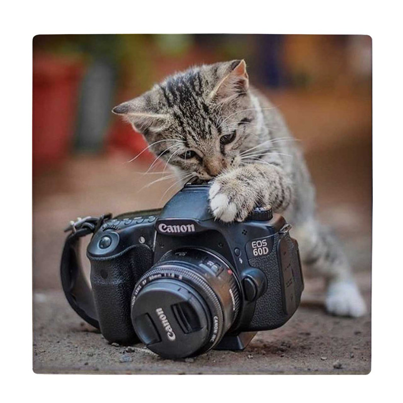 زیر لیوانی طرح دوربین عکاسی و بچه گربه کد    4016541_2377
