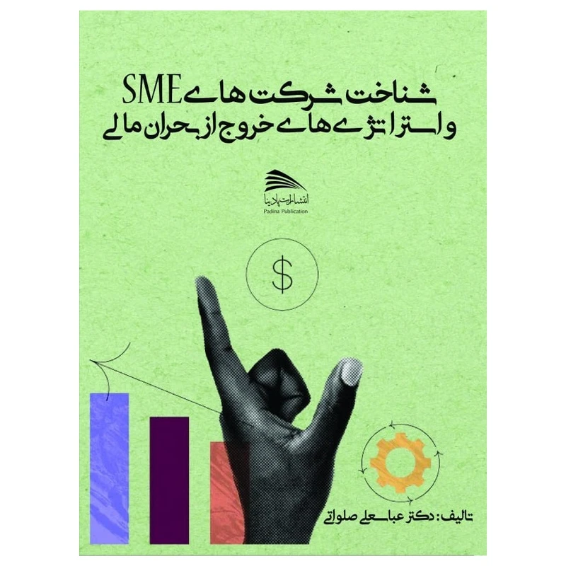 کتاب شناخت شرکت های SME و استراتژی های خروج ار بحران مالی اثر دکتر عباسعلی صلواتی انتشارات پادینا