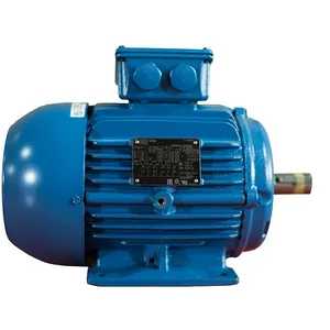 الکتروموتور وگ مدل w22