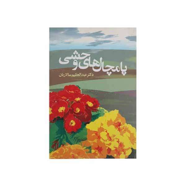 کتاب پامچال‌ های وحشی‌ اثر عبدالعظیم سالاریان انتشارات دامون