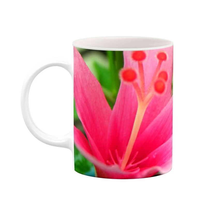 ماگ کاکتی مدل گل کد mgh12132