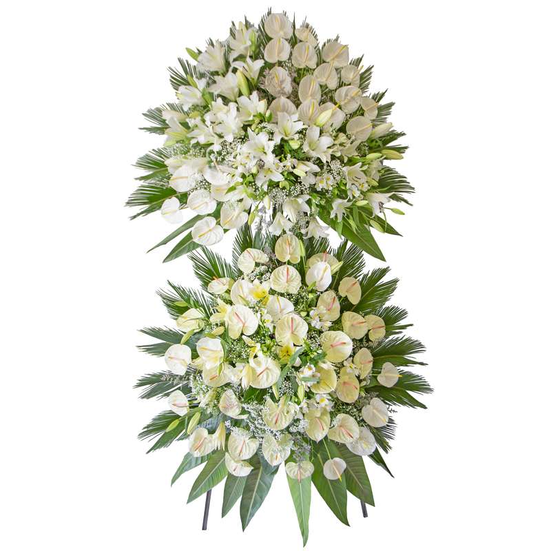 تاج گل مدل P.T.200