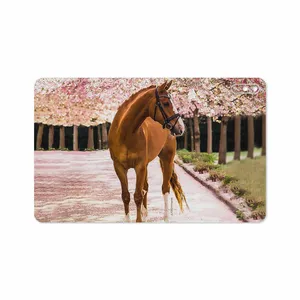 MAHOOT Horse-1 Cover Sticker for Huawei Matepad 10.4 2020 BAH3-L09