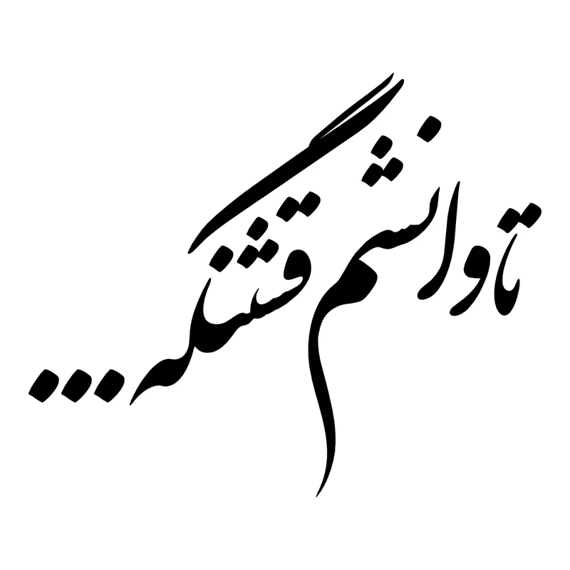 برچسب بدنه خودرو طرح تاوانشم قشنگه... کد MT-B432