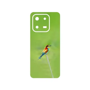 MAHOOT European bee-eater Cover Sticker for Honor X7d 4G