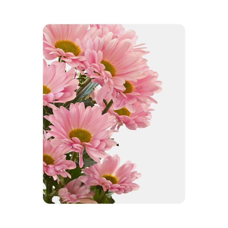 ماوس پد اطلس آبی طرح گل مدل T6798