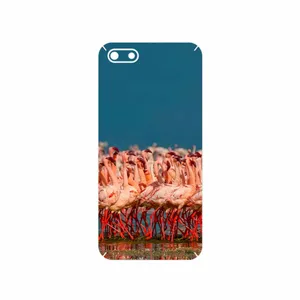 MAHOOT Flamingo Cover Sticker for Huawei Y5 Lite