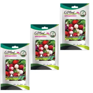  بذر تربچه میکس گلبرگ پامچال کد GPF-331 مجموعه 3 عددی