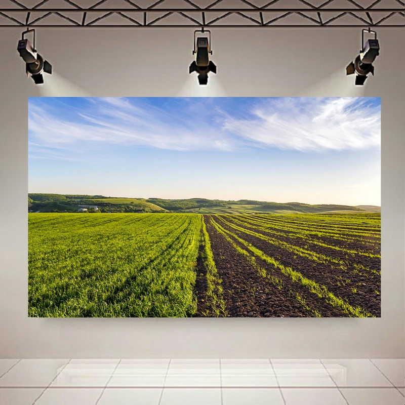 پوستر دیواری طرح طبیعت مدل مزرعه سرسبز کد AR302910