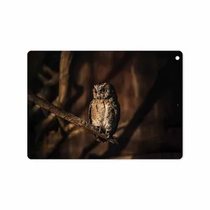 MAHOOT Owl Cover Sticker for Apple iPad 9.7 GEN 5 2017 A1823