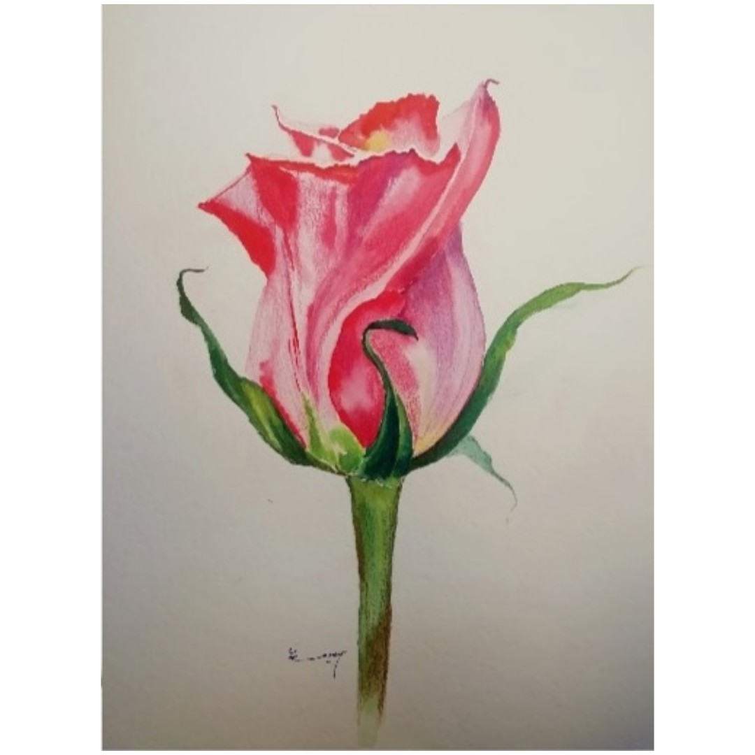 تابلو نقاشی آبرنگ طرح گل رز