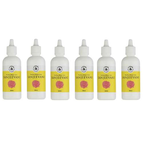 کود مایع رشد و گلدهی گیاهان آپارتمانی ساتوام مدل SANJEEVANI حجم 50 میلی لیتر بسته 6 عددی