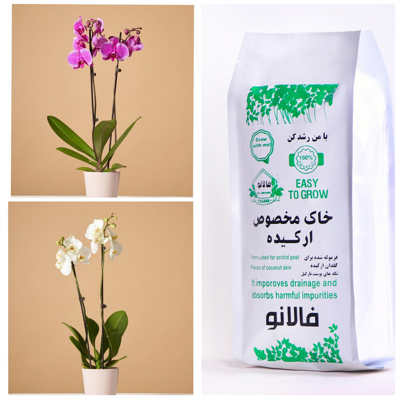 خاک ارکیده فالانو کد 44 حجم 3 لیتر