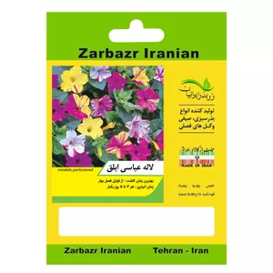 بذر گل لاله عباسی ابلق زربذر ایرانیان کد ZBP-102