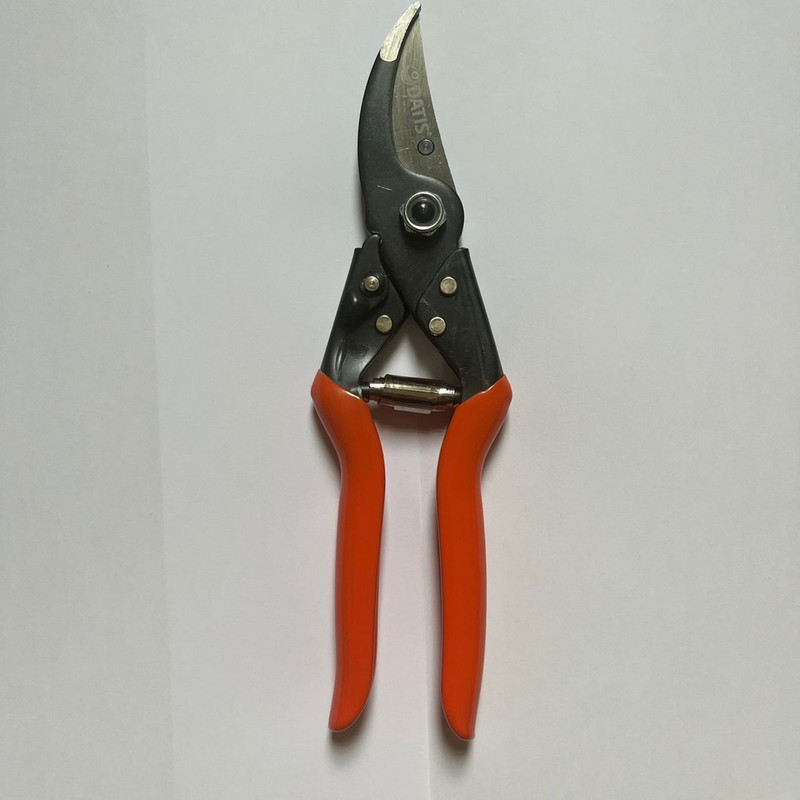 قیچی باغبانی داتیس مدل 4542