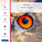 برچسب پوششی ماهوت مدل Owl eyes-FullSkin مناسب برای گوشی موبایل سامسونگ Galaxy F12 1