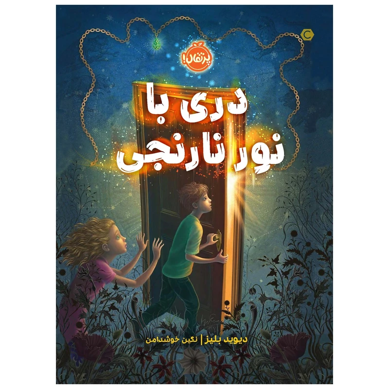 کتاب دری با نور نارنجی اثر دیوید بلیز انتشارات پرتقال