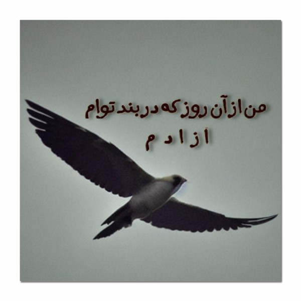 تابلو شاسی مدل من از آن روز که در بند توام آزادم