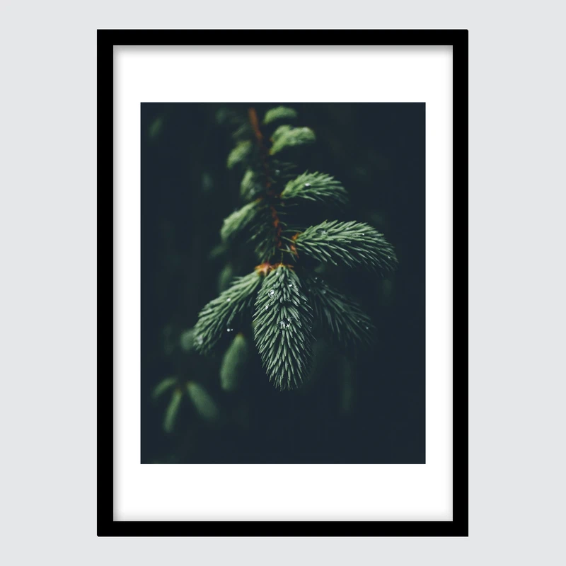 تابلو آرتستا مدل پوستر نمای نزدیک درخت کاج جنگلی کد 019M