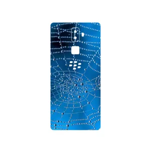 MAHOOT Spider web Cover Sticker for BlackBerry Evolve
