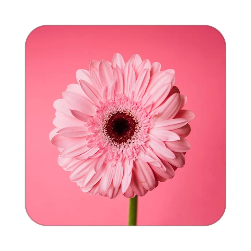 زیر لیوانی کاکتی طرح گل مدل mp16721