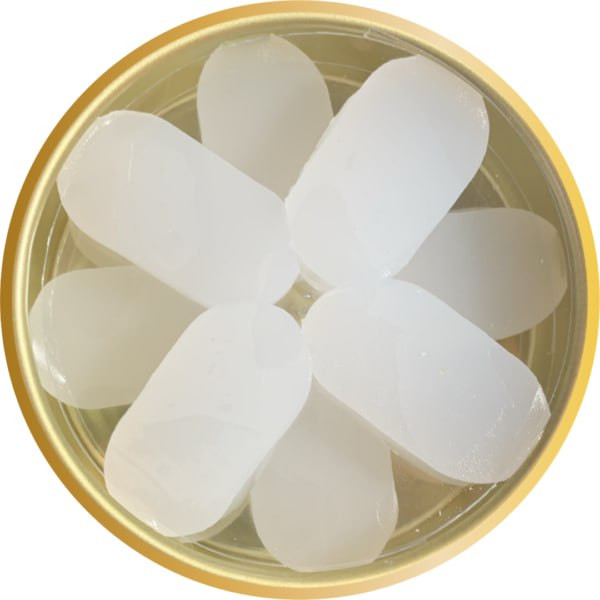 گوشگیر ژله ای کلور پلاس مدل 06 بسته 12 عددی