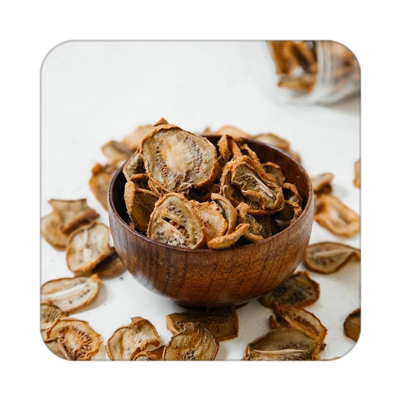 زیر لیوانی کاکتی طرح میوه مدل mp20906