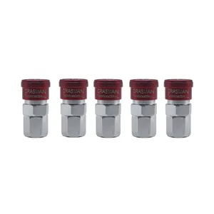 کوپلینگ کراسمن مدل YP-1/4 SF مجموعه 5 عددی 