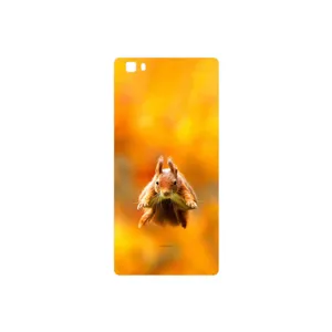 MAHOOT Squirrel Cover Sticker for Huawei P8 Lite