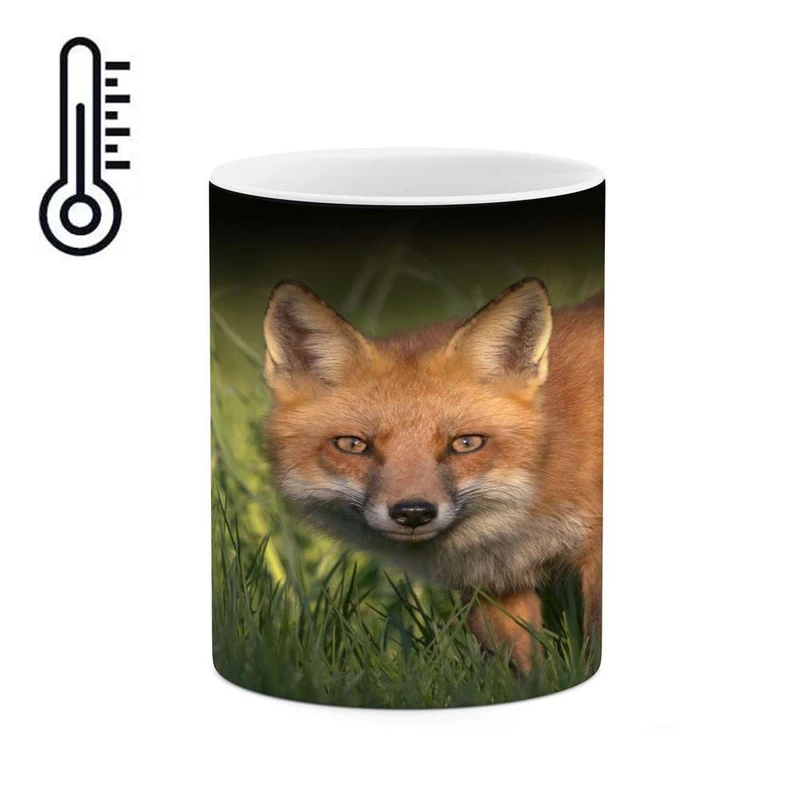 ماگ حرارتی کاکتی مدل روباه کد mgh16559