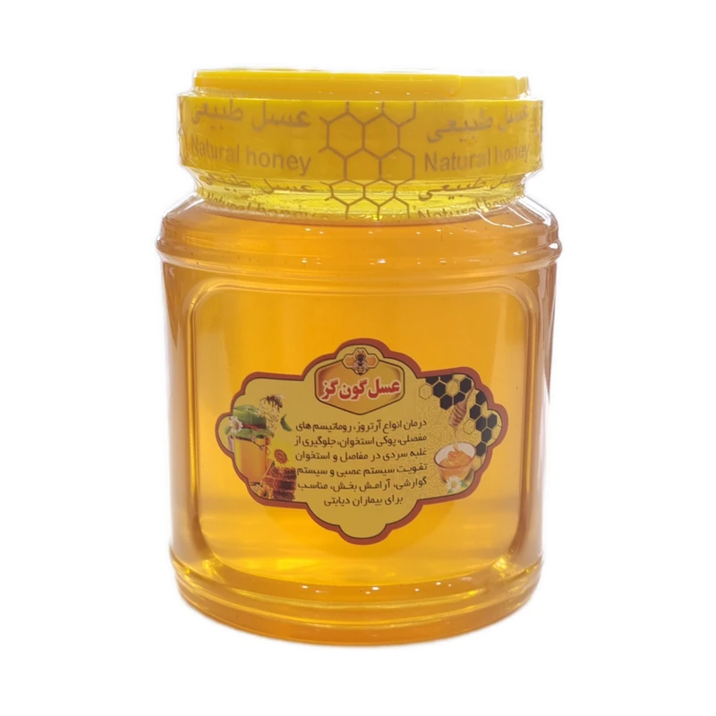 عسل طبیعی گون گز - 1000 گرم