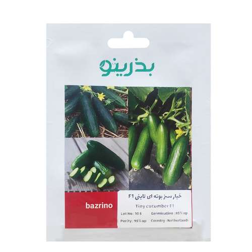 بذر خیار سبز بوته ای تاینی F1 ویژه خیار شور بذرینو کد BZNO-257