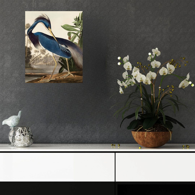 پوستر مدل  تصویر گنجشک لوئیزیانا 