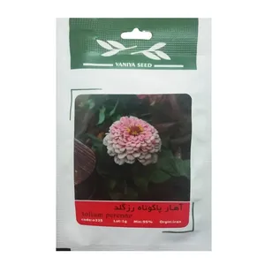 بذر گل آهار پاکوتاه رز گلد وانیا سید مدل BA2111