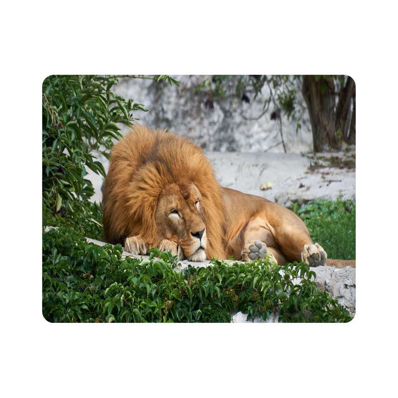 ماوس پد اطلس آبی  طرح شیر مدل T7807