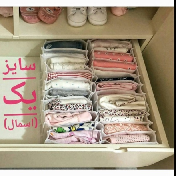 نظم دهنده مدل SORENA