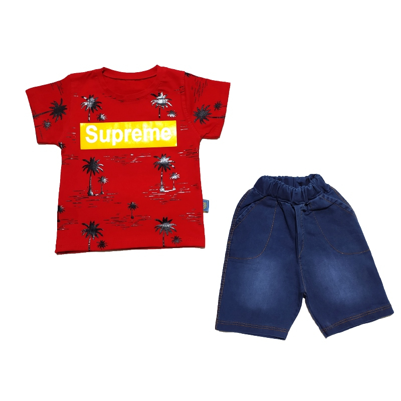 ست تی شرت و شلوارک پسرانه کد 1188