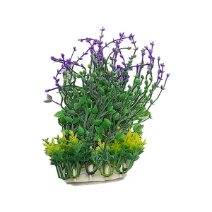 درختچه تزیینی آکواریوم مدل گل ریز