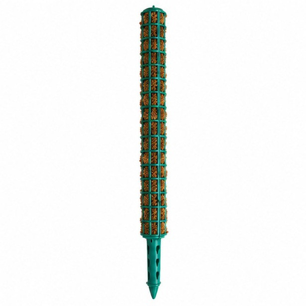قیم نگهدارنده گیاه مدل چوب خز 060