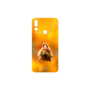 MAHOOT Squirrel Cover Sticker for Huawei Y9 Prime 2019