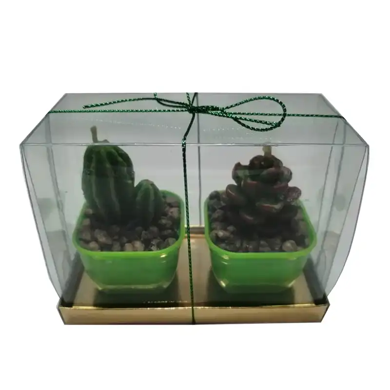 شمع طرح کاکتوس بسته 2 عددی