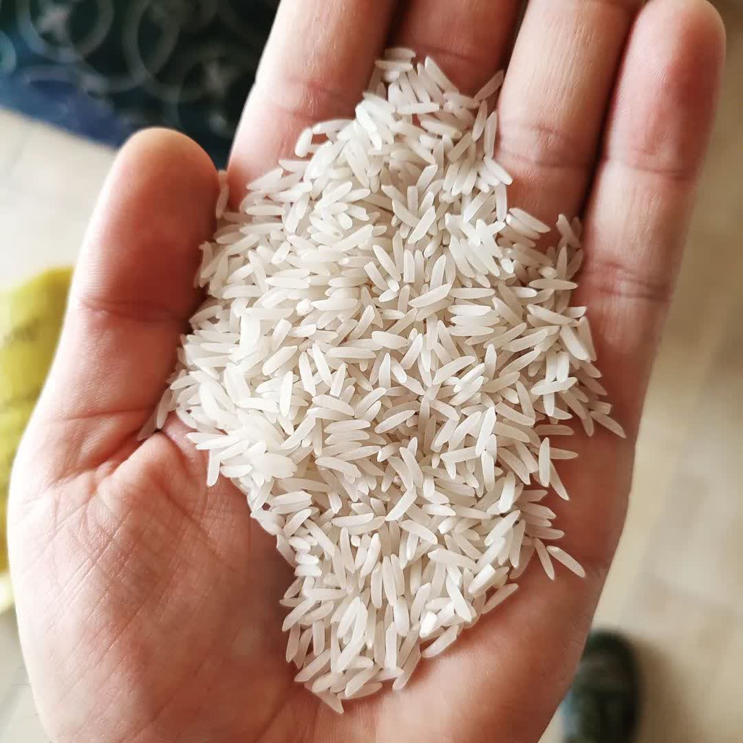 برنج شیرودی سورت شده برکت - 5 کیلوگرم