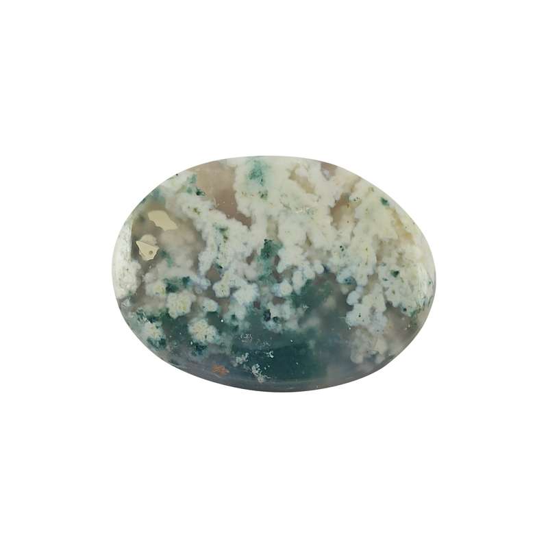 سنگ شجر کد DASH08