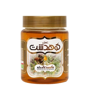 عسل گون  کوهدشت - 600 گرم