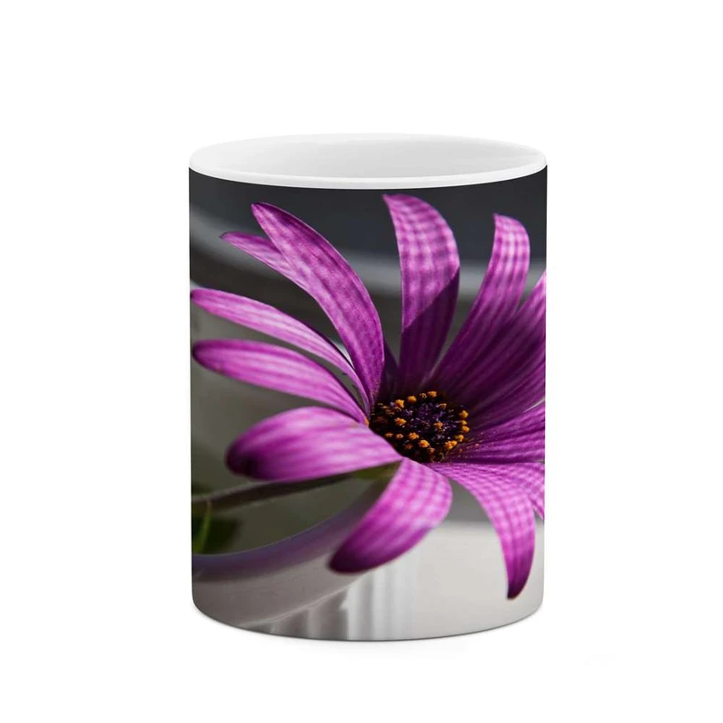 ماگ کاکتی مدل گل کد mgh15907