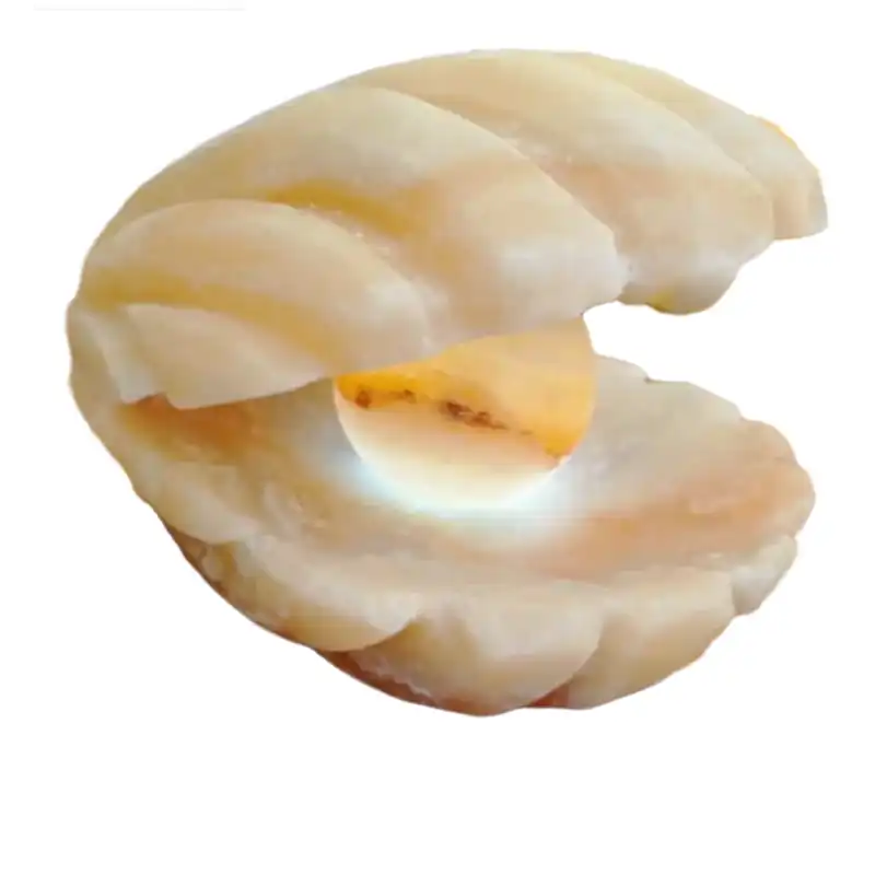 آباژور سنگ نمک مدل صدف sadaf01